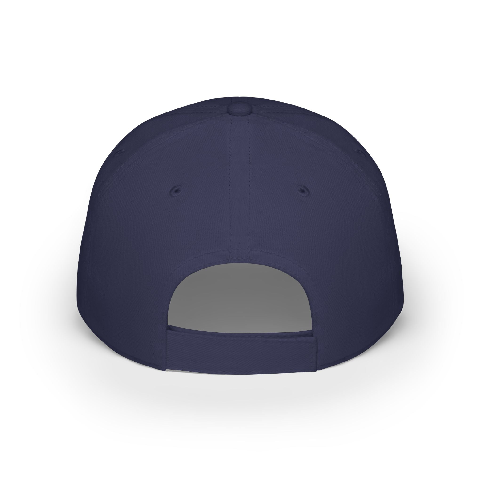 "Fortified Fearless Lion" Low Profile Baseball Cap