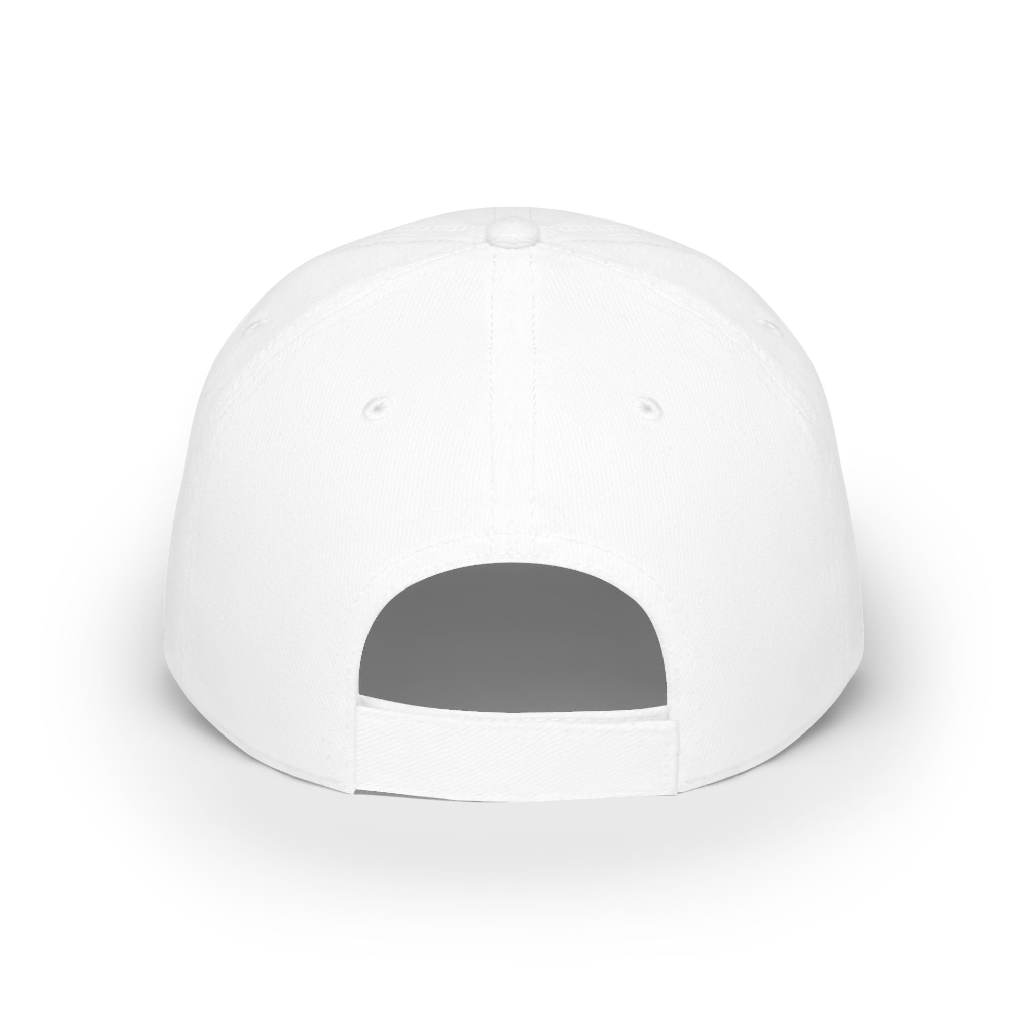 "Fortified Fearless Lion" Low Profile Baseball Cap