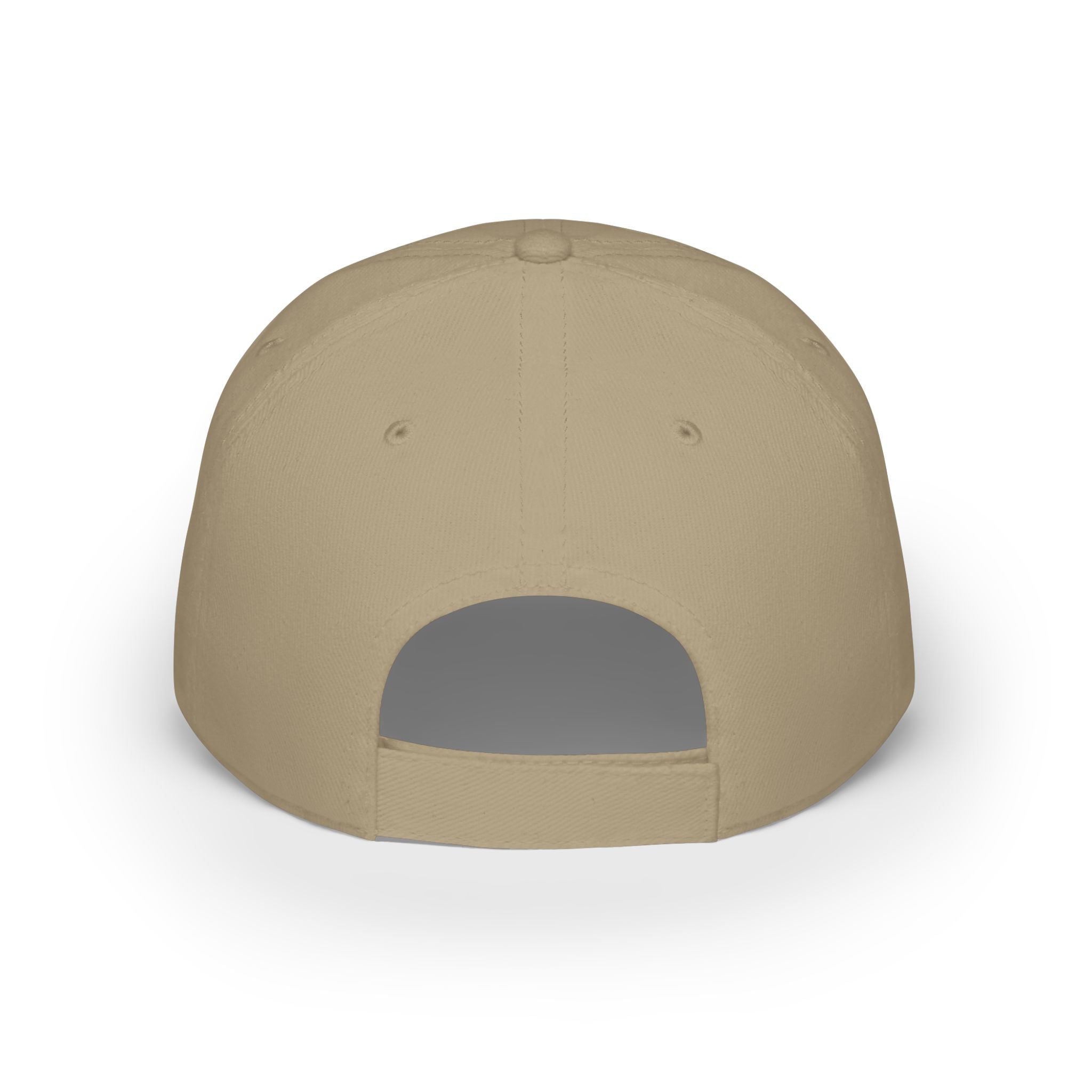 "Fortified Fearless Lion" Low Profile Baseball Cap