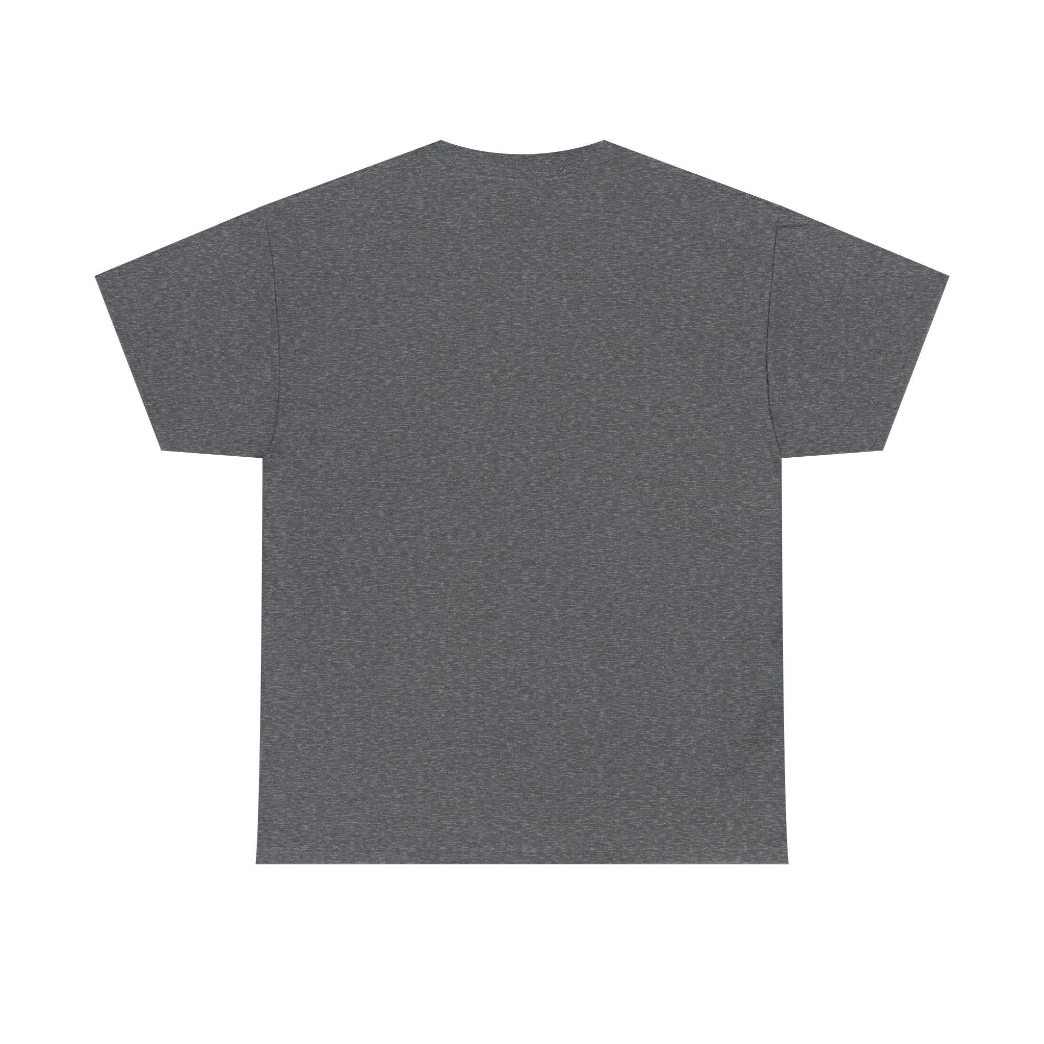 "Sprots Car Stay Fortified" Unisex Heavy Cotton Tee