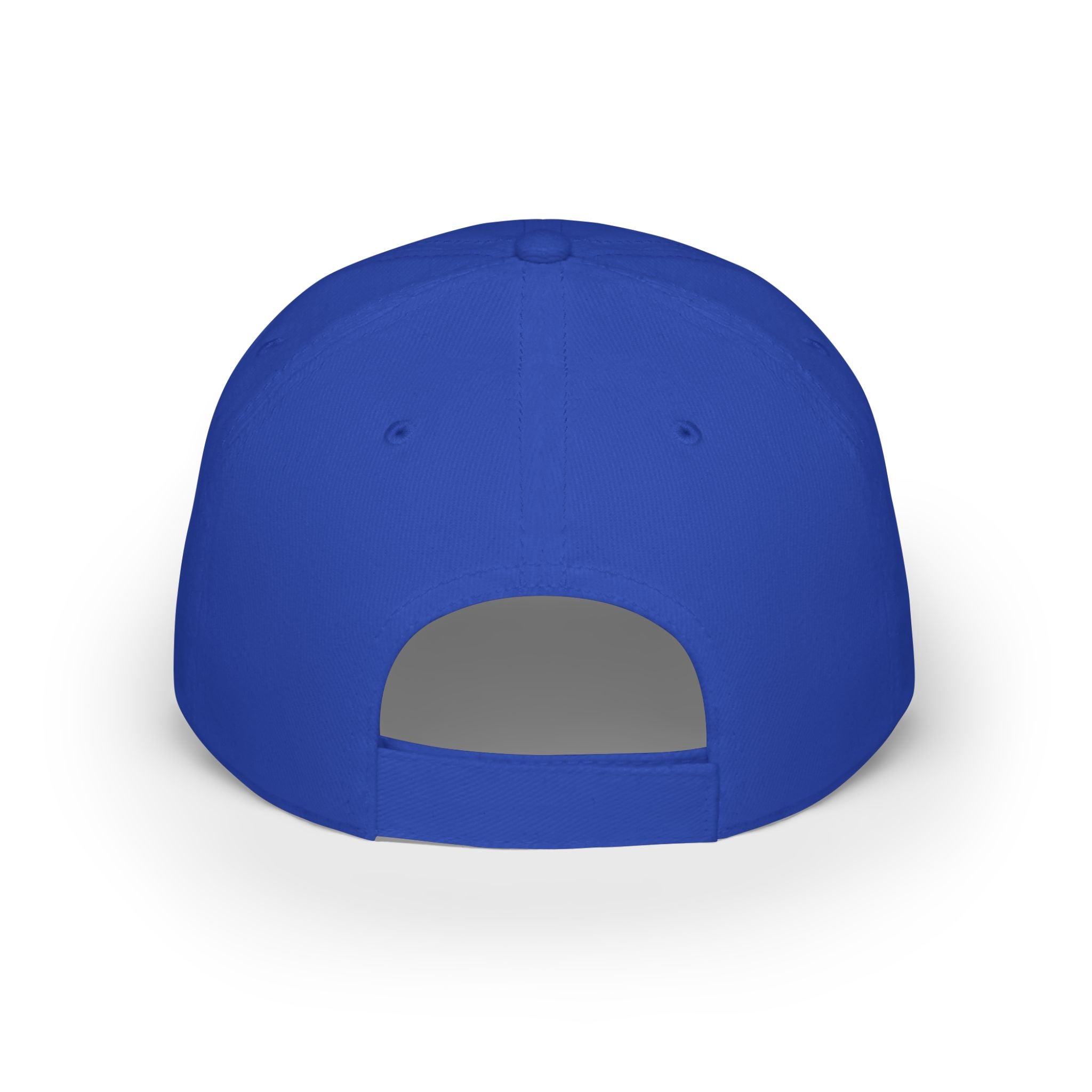 "Fortified Fearless Lion" Low Profile Baseball Cap