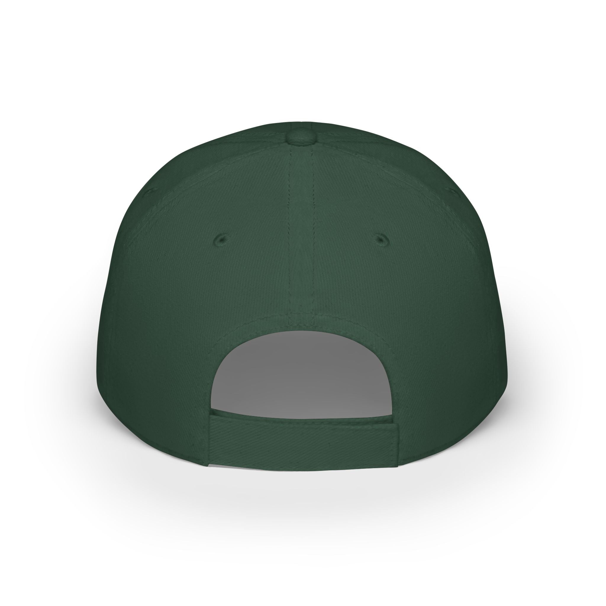 "Fortified Fearless Lion" Low Profile Baseball Cap