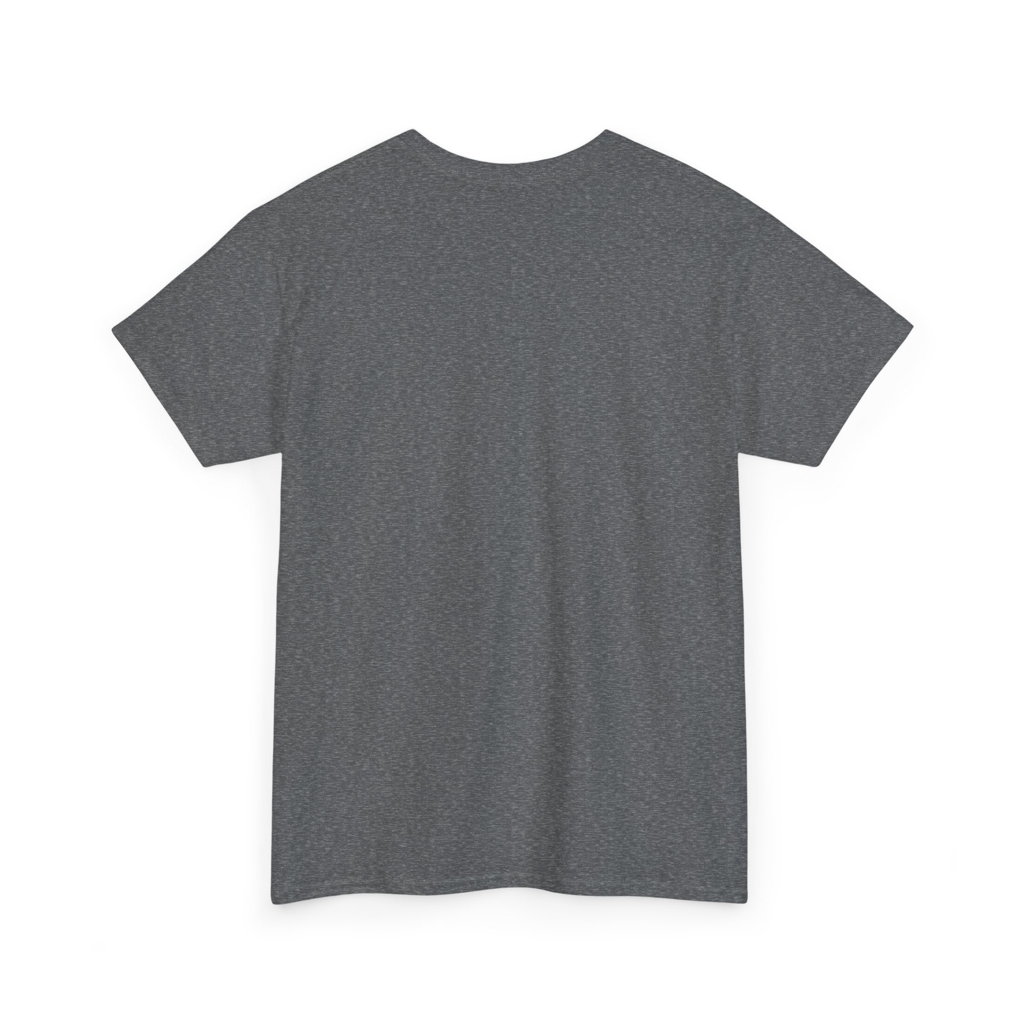 "Sprots Car Stay Fortified" Unisex Heavy Cotton Tee