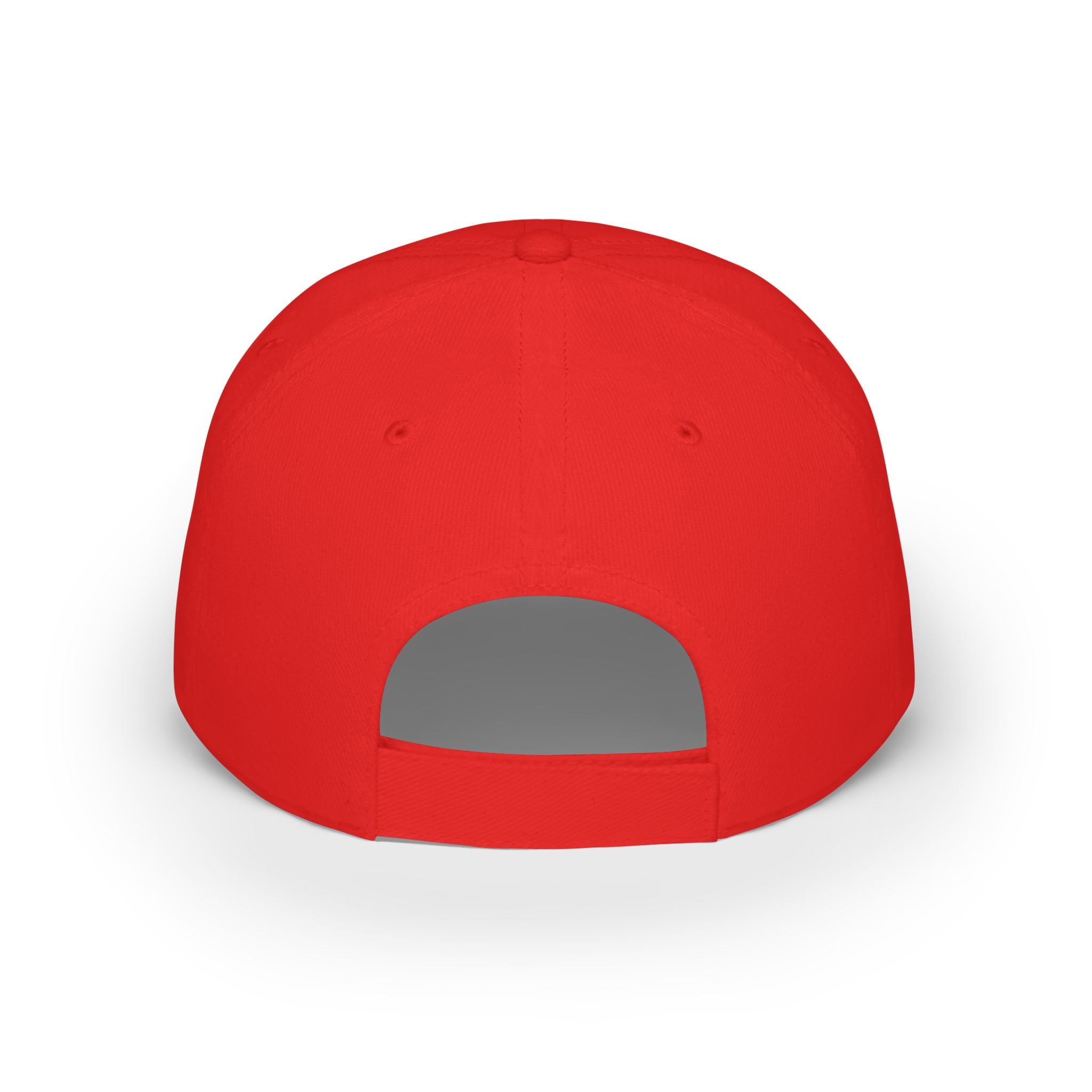 "Fortified Fearless Lion" Low Profile Baseball Cap